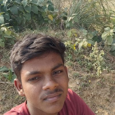 101851527473277039339 