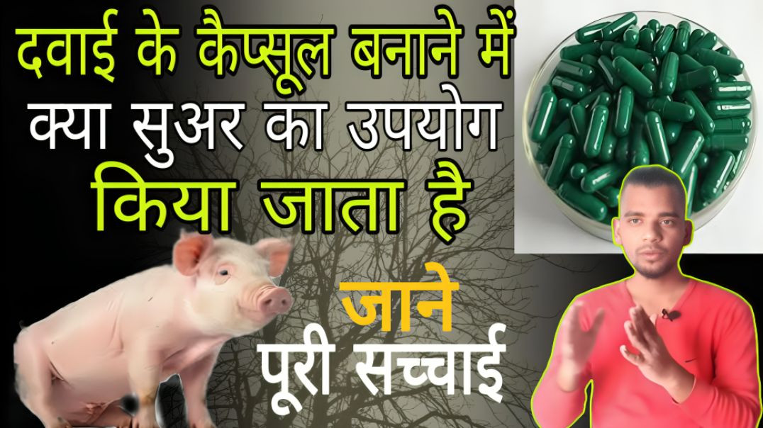 ⁣क्या कैप्सूल सुअर से बनाए जाते है | Capsules | Pig | Medicine | AC Prashant