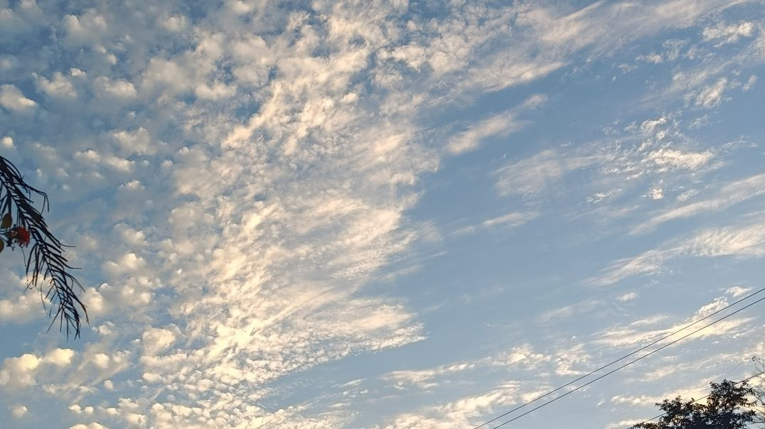 neeraj_bhai_vlogs_901719708