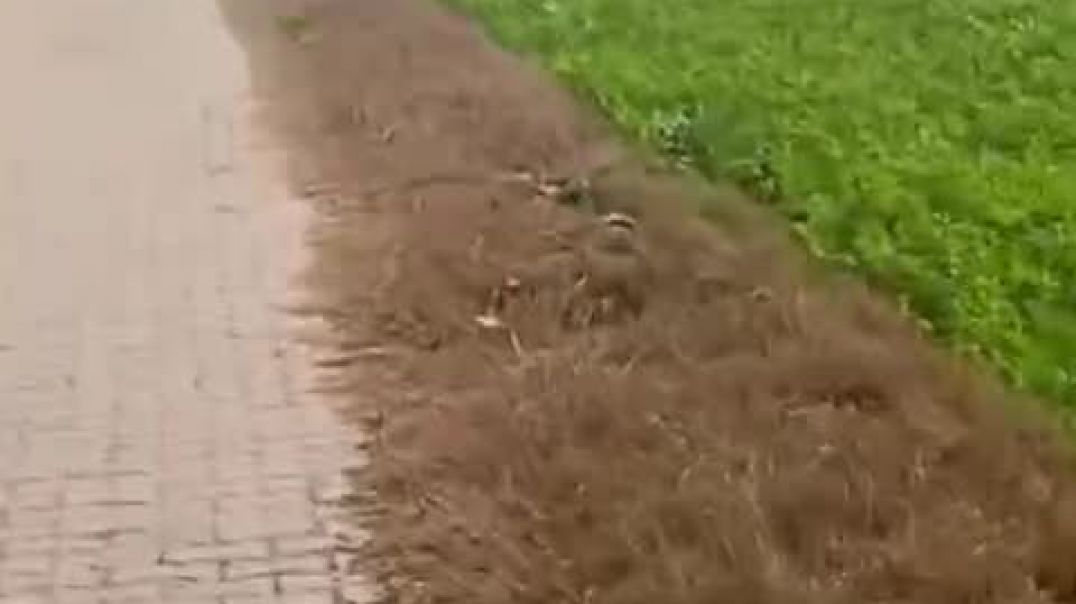 ⁣VID-20260119-WA0026