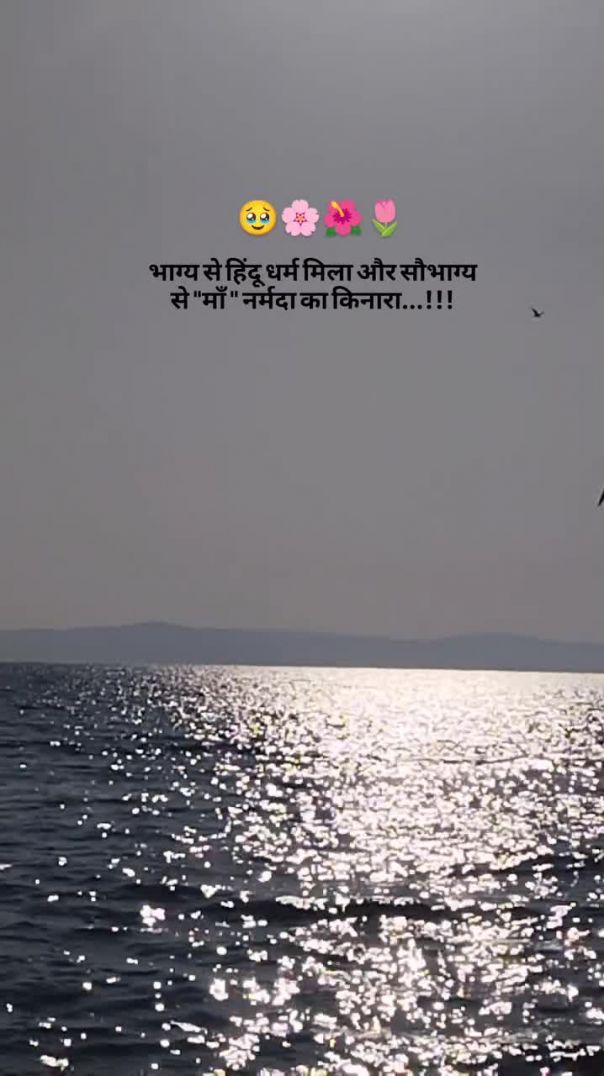 Mai ki Seva Dil Se Kar Narmde Har jivan bhar