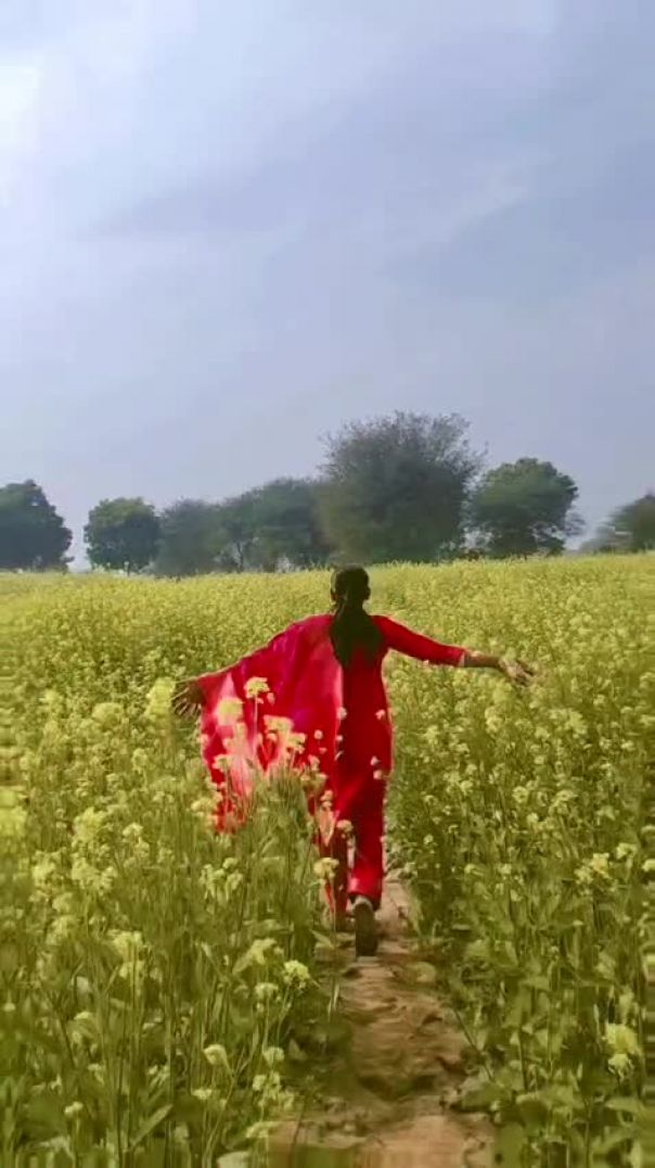 Sarso ke khet