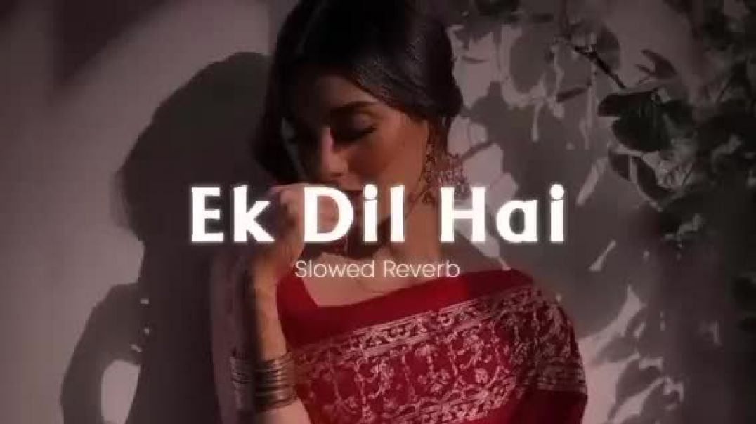 ⁣Ek_Dil_Hai_-_[Slowed_Reverb]_Ek_Rishtaa___Akshay_Kumar,_Karisma_Kapoor___Hindi_Romantic_Song(360p)