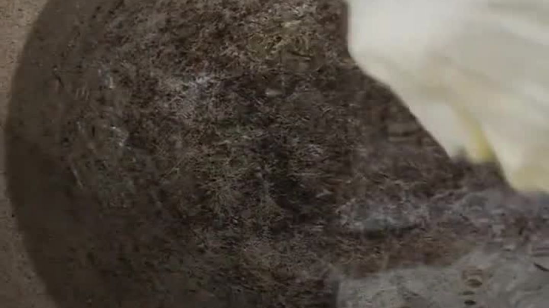 ⁣Soft cabbage + spicy veggie filling = perfect bite 😍 Must-try Healthy Cabbage Rolls!