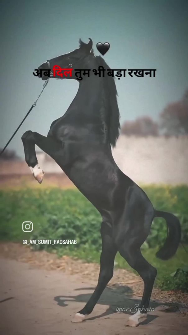 VID_20260119_184831_096