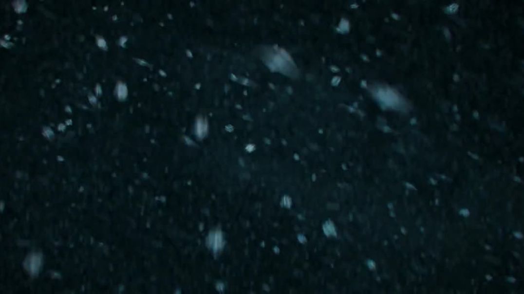 ⁣The Arctic Convoy 2023 AMZN Hindi (ORG 5