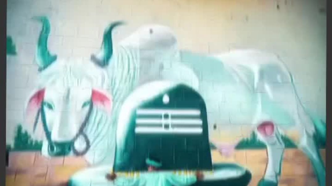 VID_20251028_061546_953