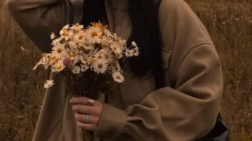 ⁣Fakira__Slowed___Reverb__-_Sanam_Puri,_Neeti_Mohan,_Vishal–Shekhar___1080p_(720p)