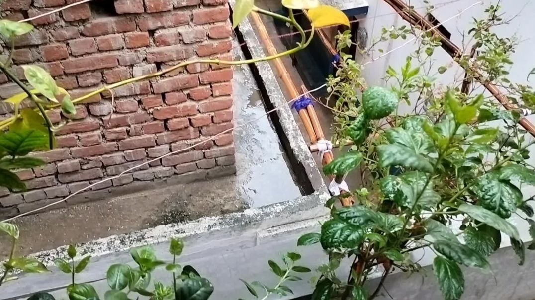 ⁣Subscribe my channel