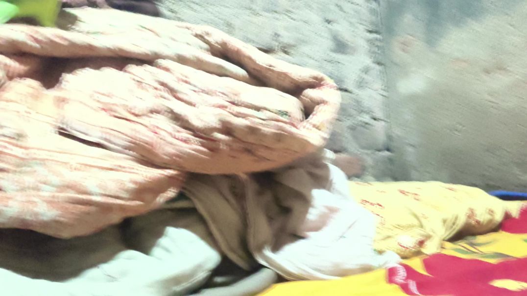 ⁣video bolane wala tota mummy papa kahane wala tota