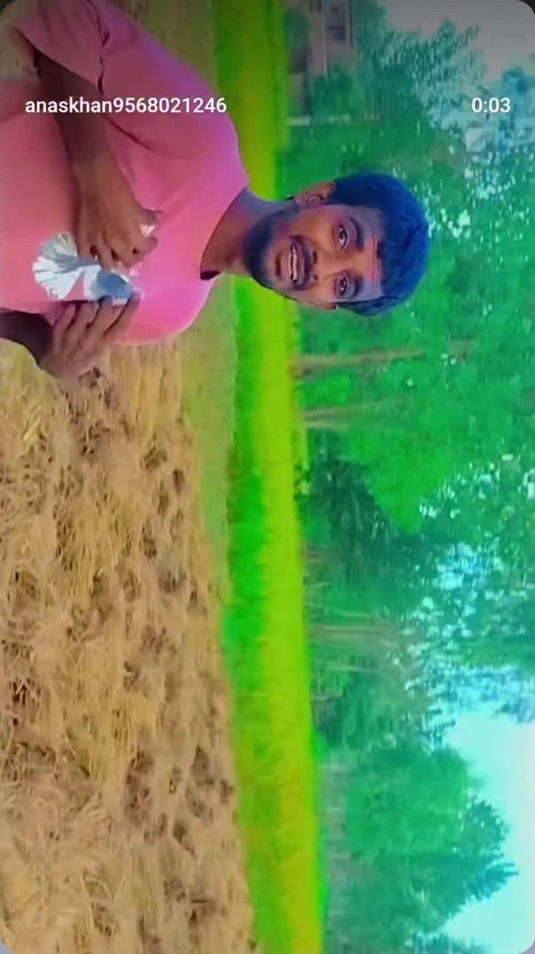 VID_20251110_003818_473