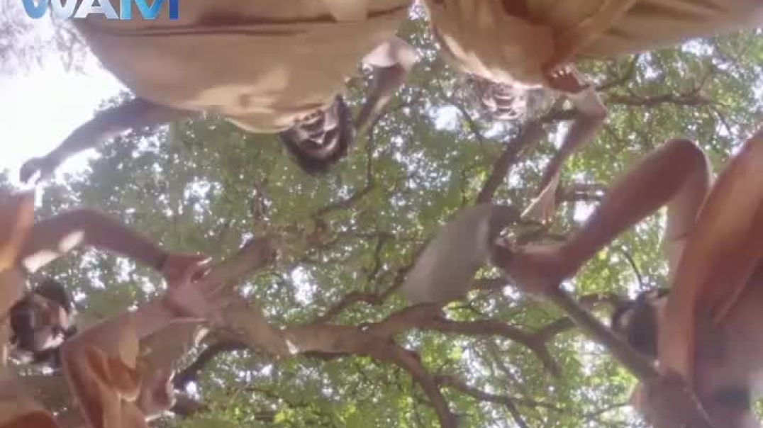 ⁣New horror story horror movie #sauth video