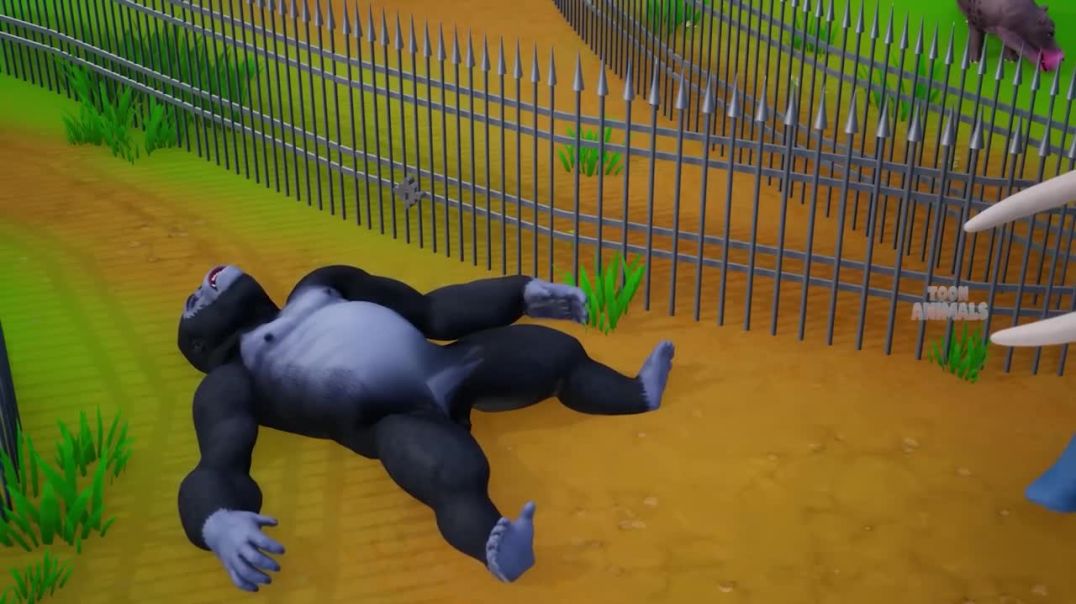 ⁣The_Great_Zoo_Escape__Forest_Wild_Animals_vs_Gorilla_Trap___Animal_Revolt___Funny_Animals(720p)