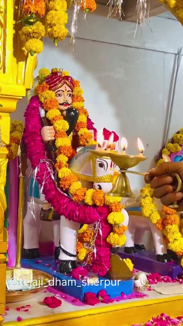 🚩जय_वीर_तेजाजी_महाराज_🚩_#tejaji_#tejal_#viral_#sursura_#sherpur_#tejadashmi_#trending