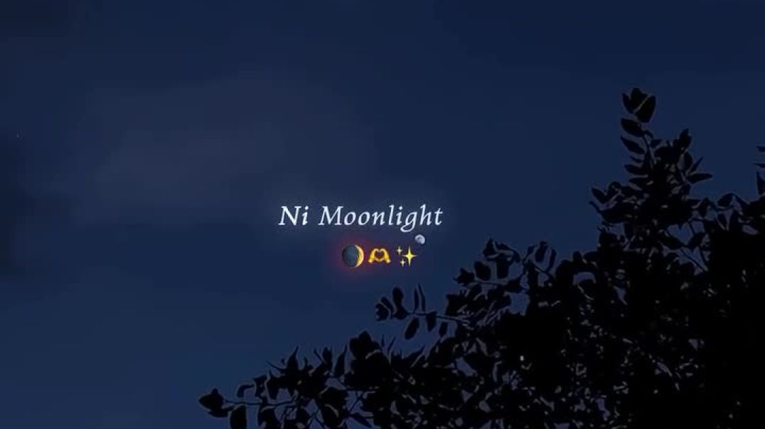 ⁣Night Moonlight 🌒 🫶✨Love songs shorts