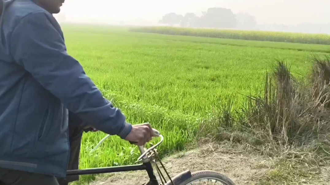 ⁣Comediy kaushambi