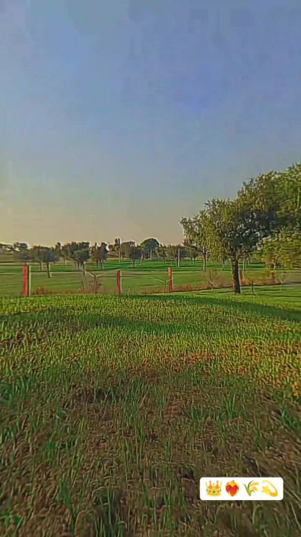 bhawani_singh_rathore_001-20251223-0002