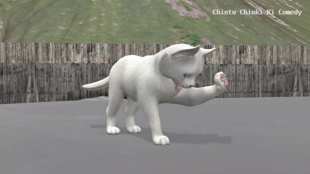 26_Billi_Ke_Bache_Cartoon_Chintu_pagal_beta_comedy_video_cs_bisht_vines_720P