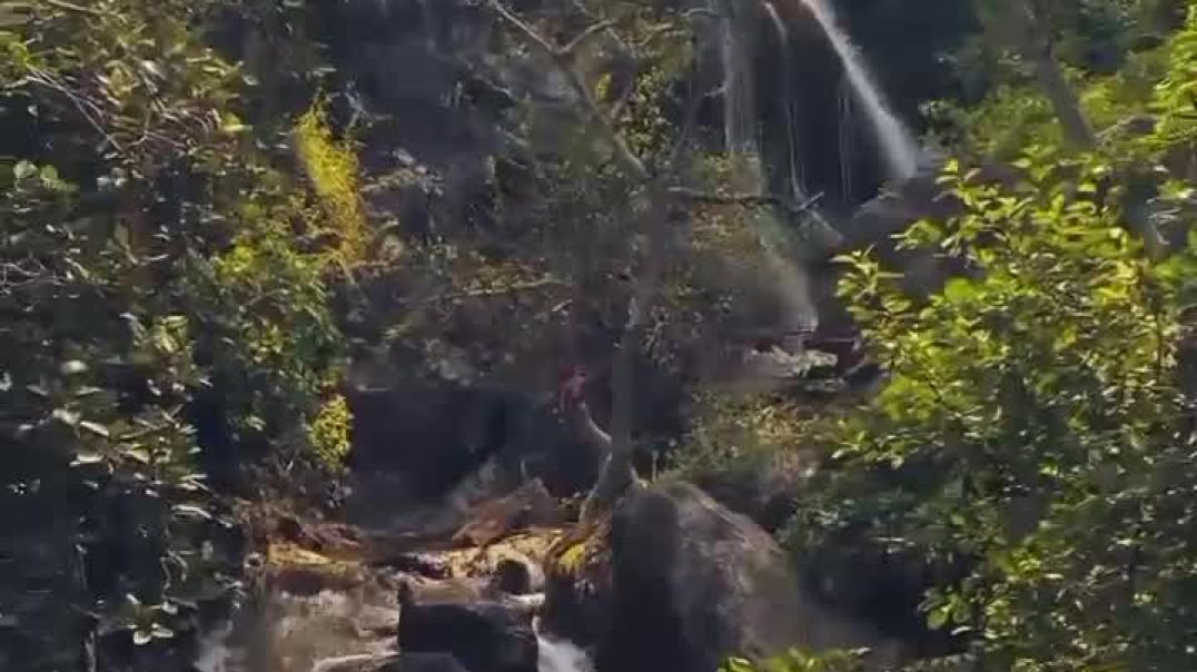 shotcut-20251203-143611