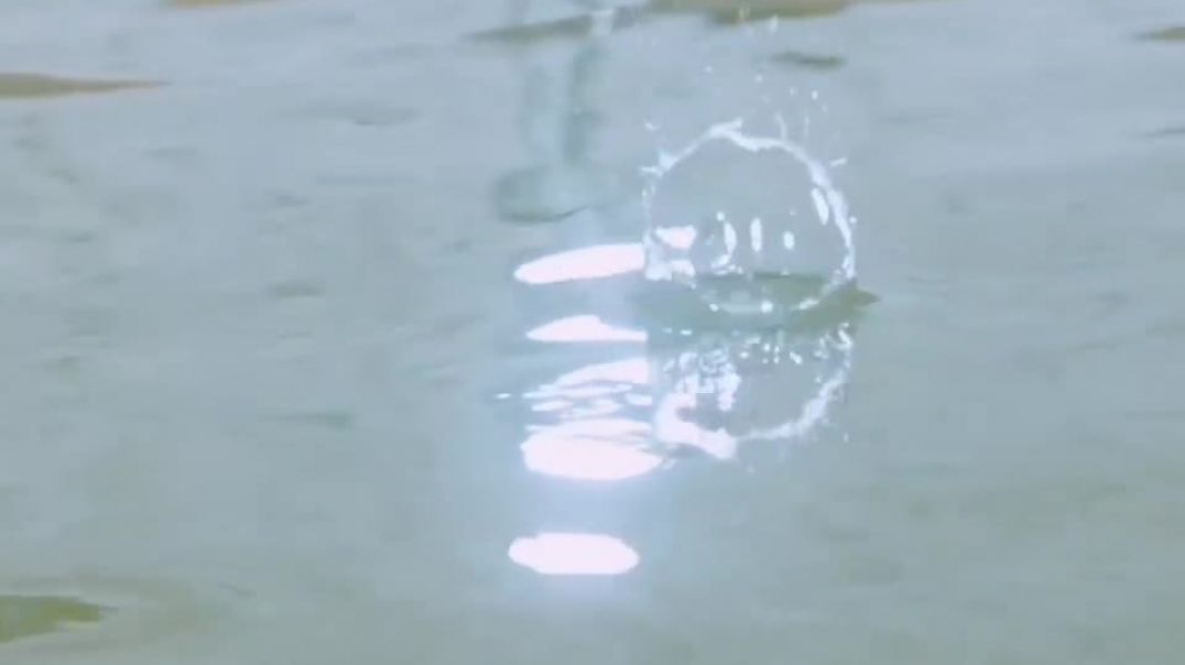 XttvBpXQ8Mac_CmVBlLeO3goNly11rDnlSWhyri3FG5QlbNP4Afl3NWn