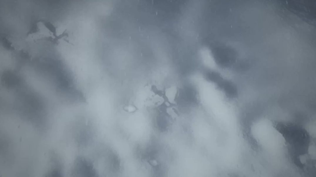 ⁣Demon liyars_best_ Anime pat1. next part ke liye subscribe karo