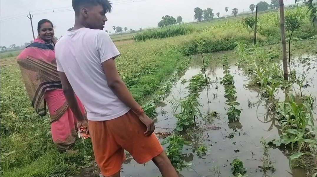 InShot_20240702_211846387