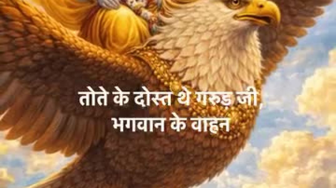 ⁣instagram_1767658472502(360p)