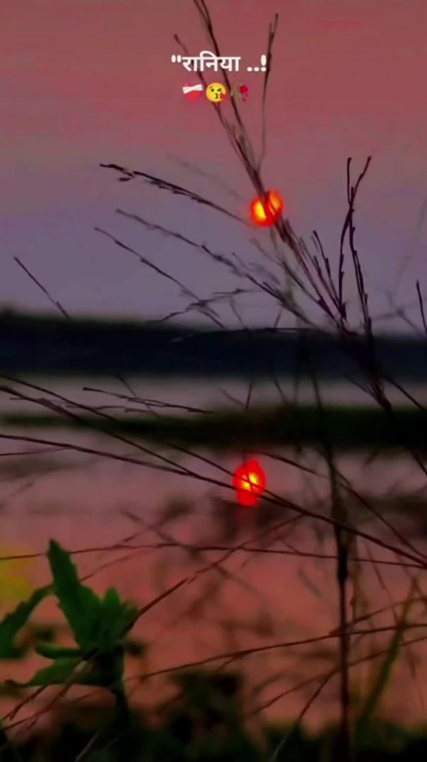 VID_20260109_194337_793