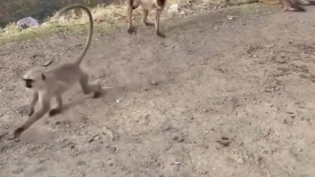 ⁣Chaye ke chakkar me 6cord ka nuksaan Ho jata