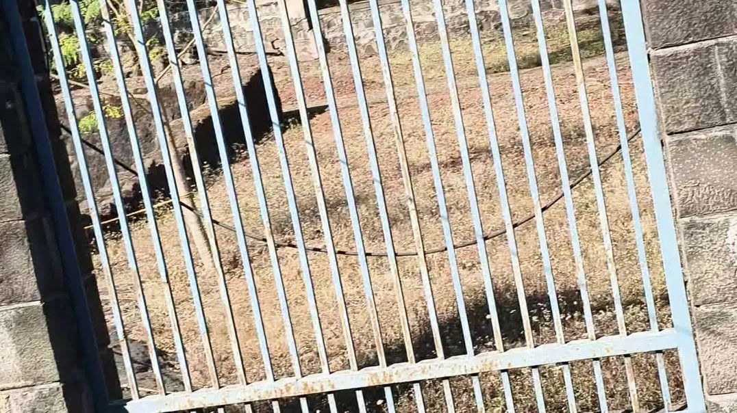 video_20251219_144318