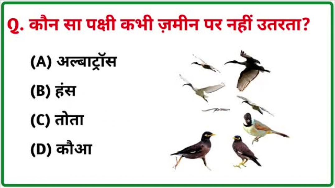 ⁣GK || GK Question || GK In Hindi || GK Question and Answer || GK Quiz