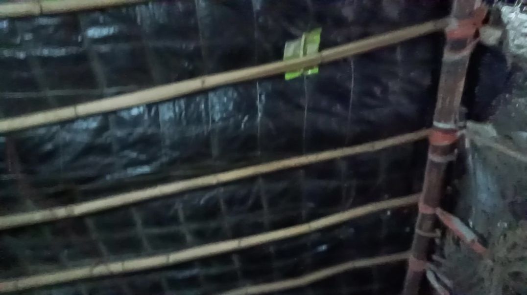 ⁣Music and tareval