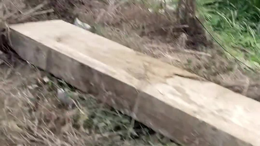 ⁣Aaj kisi ne hmare 4 pole tod diye hai swift car wale ne 💔💔💔💔💔💔💔