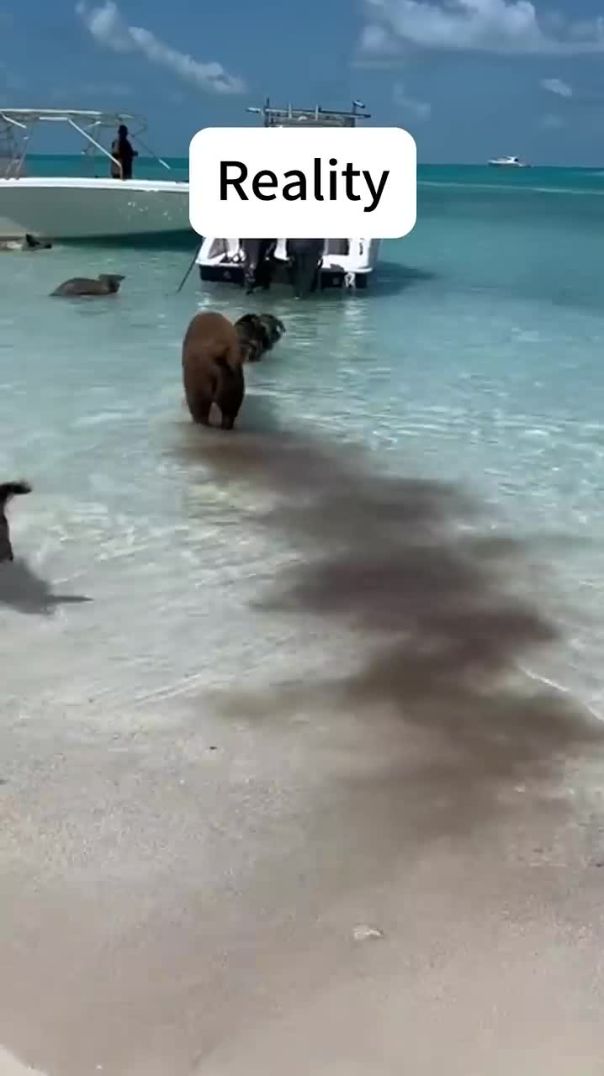 Instagram 🥰 Vs Reality 😨_travel_instagramvsreality_qeeq_fyp(720P_HD)