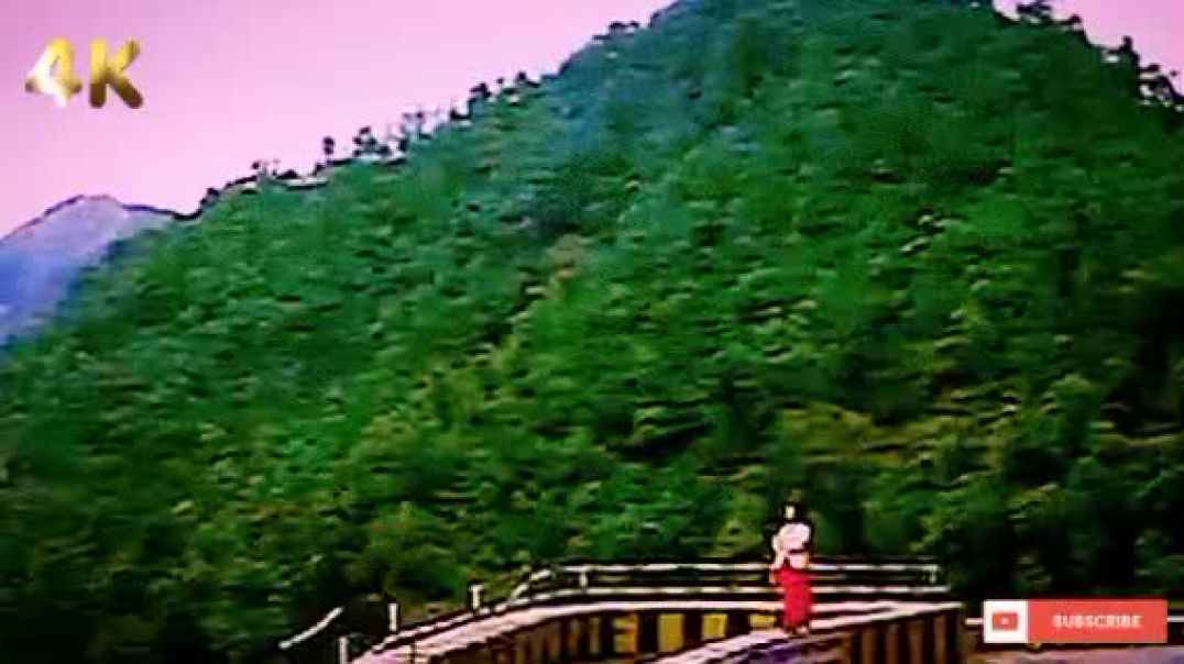 YouCut_20260112_001755898