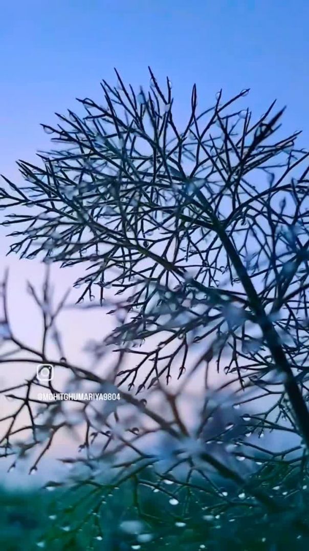 VID_20251230_080914_324