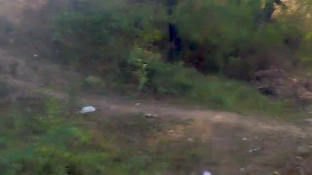 ⁣🚗 रास्ते में ऐसा नजारा, यकीन नहीं होगा | गंगापुर सिटी।