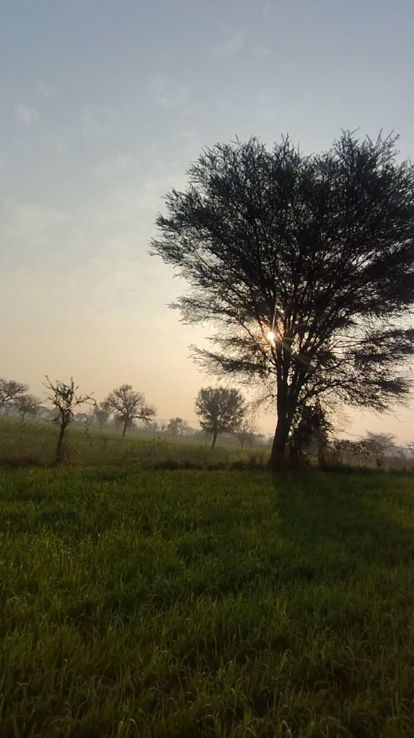 VID_20260113_084554593