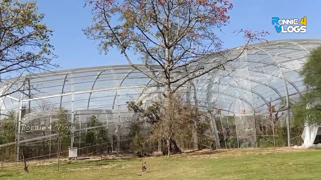 Without_Face_Vlog_कैसे_बनाएं___No_Face_Vlog___बिना_चेहरा_दिखाए___Bina_Chehra_Dikhye_Vlog_कैसे_बनाएं🔥