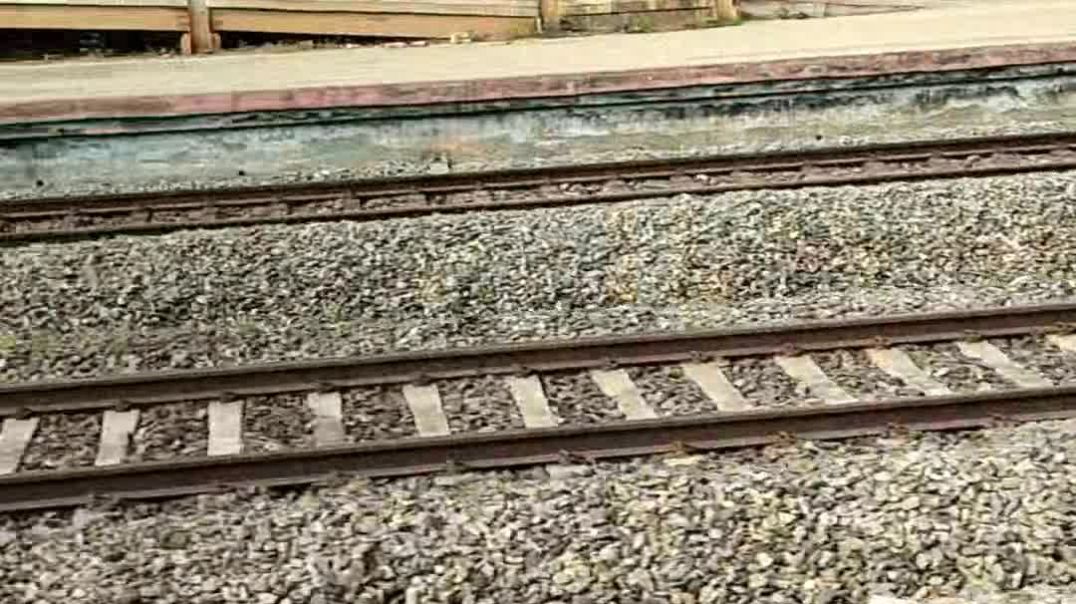 VID_20260103_044254_472