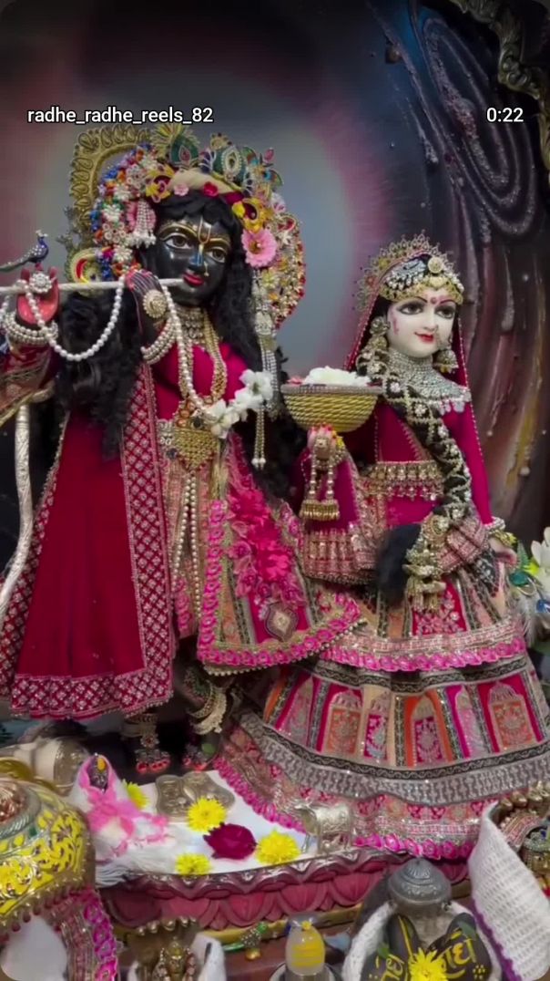 VID_20260128_045311_797