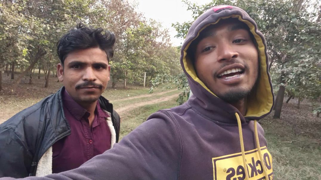 video_20260102_165303