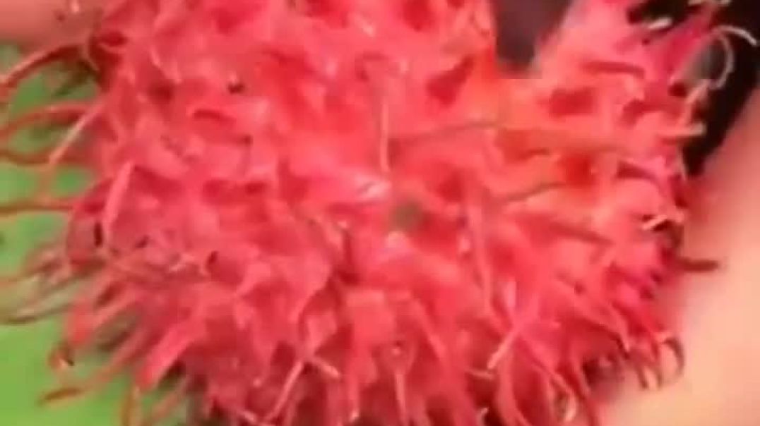 ⁣23_August_2025(720p)