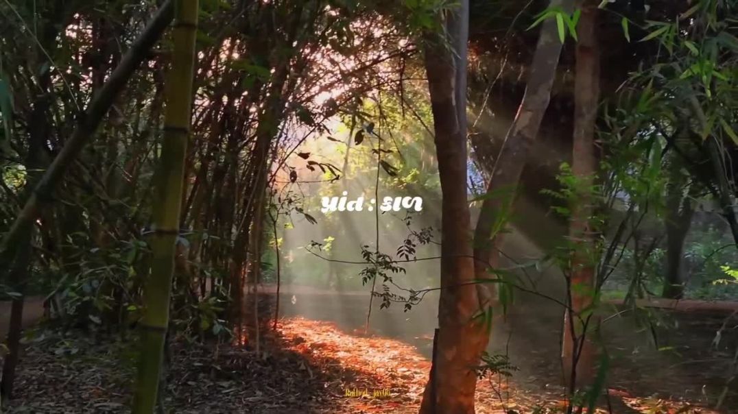 ⁣being_selenophile5-03-01-2026-0001