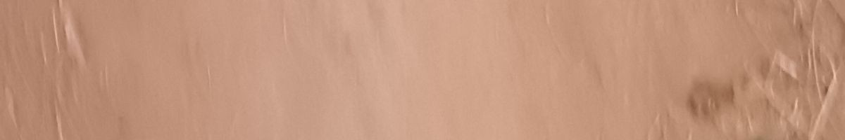 9352909066 9352909066