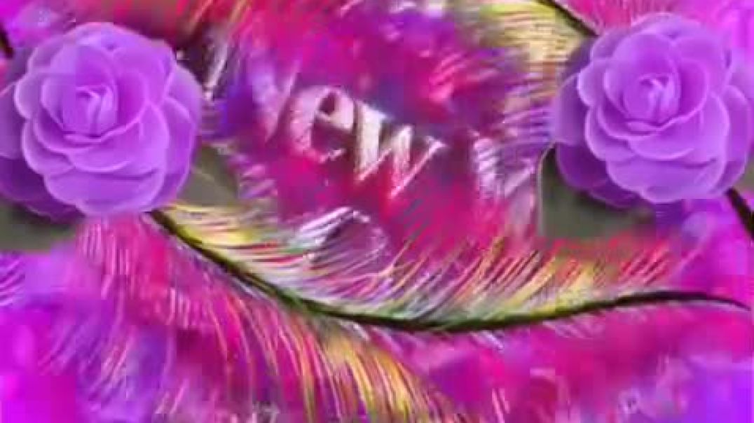 ⁣VID-20260101-WA0005