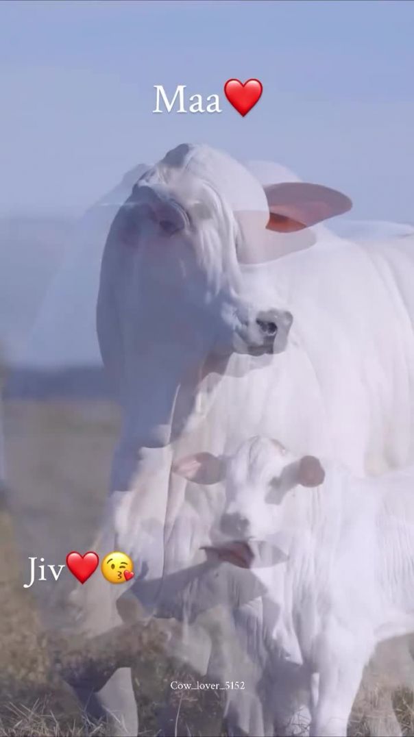 𝐌𝐚𝐚❤️_॥_𝐉𝐚𝐲 𝐃𝐰𝐚𝐫𝐢𝐤𝐚𝐝𝐡𝐢𝐬𝐡_॥❤️🙏🚩(MP4)