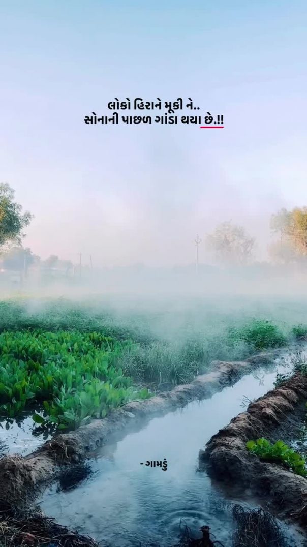 मारु गामडु 👌🥰