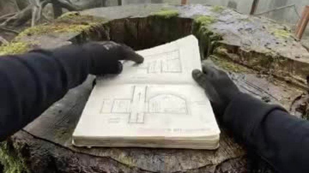 Make_a_beautiful_shelter_under_a_big_tree_#survival_#build_#treehouse_#outdoorskills_#bushcraft(360p)