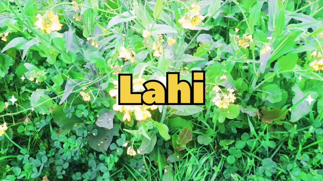 ⁣My fast vlog 2026